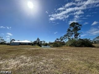 1720 Jacaranda Parkway W Cape Coral FL 33993 2026021266 image12