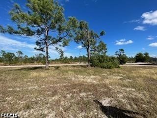 1720 Jacaranda Parkway W Cape Coral FL 33993 2026021266 image9