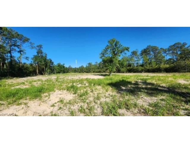 1721 Highland Avenue Lehigh Acres FL 33972 224045725 image1