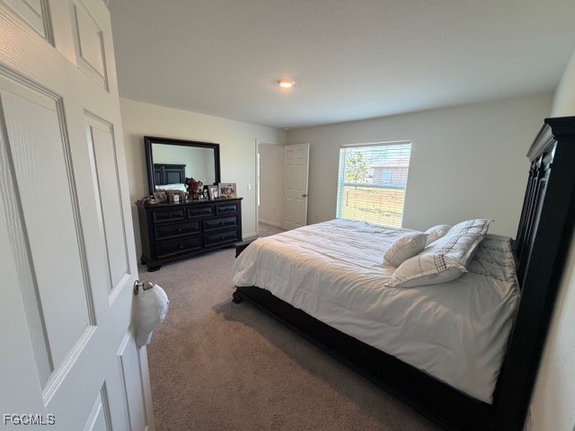 1724 NW 11th Place Cape Coral FL 33993 2025021961 image14