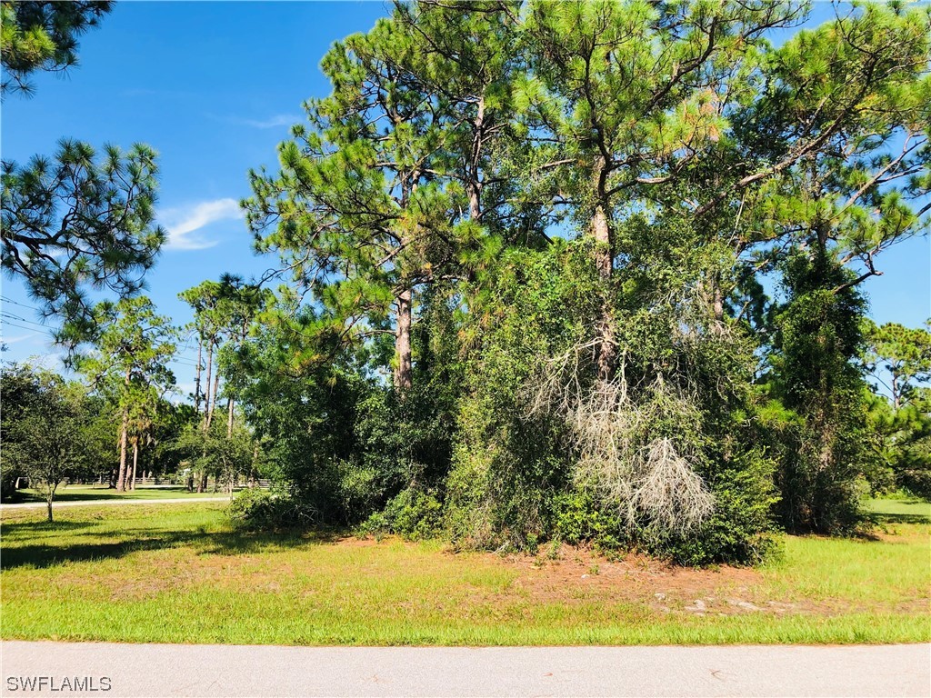 17280 Brenfield Lane Alva FL 33920 222075707 image7