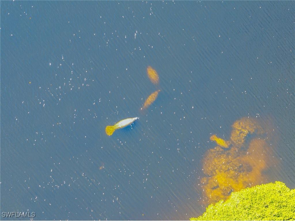 17288 Hidden Estates Circle Fort Myers FL 33908 226000005 image33