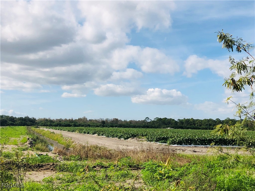 17341 Balfour Terrace Fort Myers FL 33913 2025024337 image21