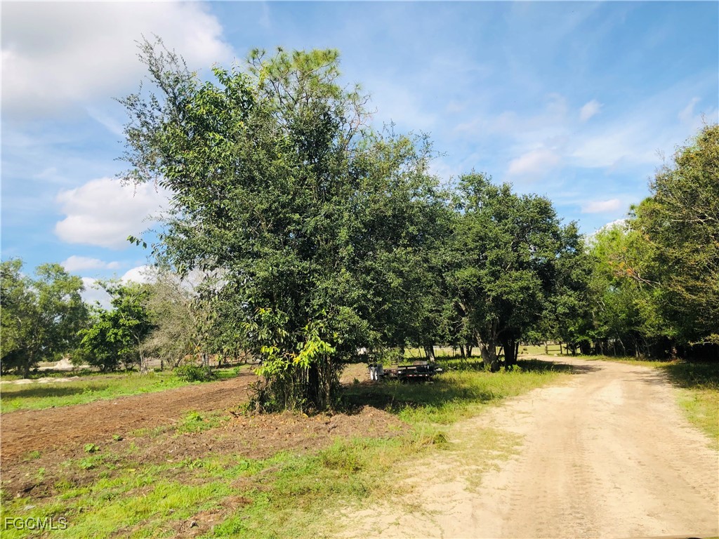 17341 Balfour Terrace Fort Myers FL 33913 2025024337 image4