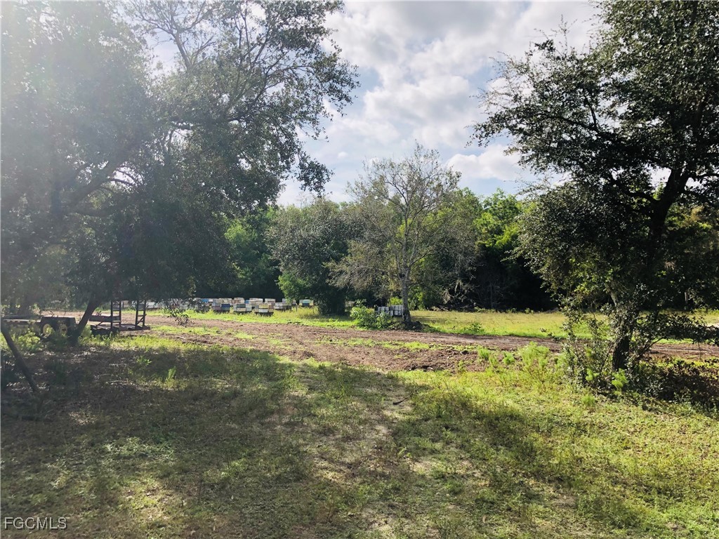 17341 Balfour Terrace Fort Myers FL 33913 2025024337 image6