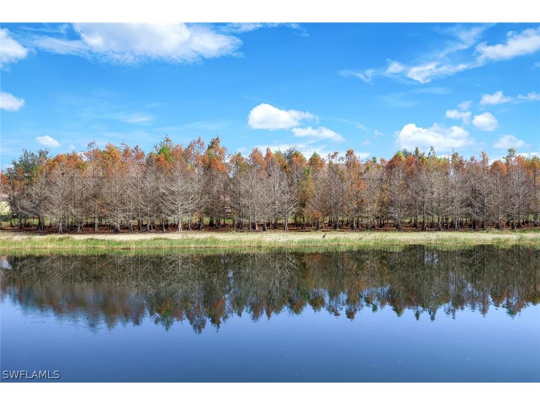 17351 Cherrywood Court #7904 Bonita Springs FL 34135 226006700 image23