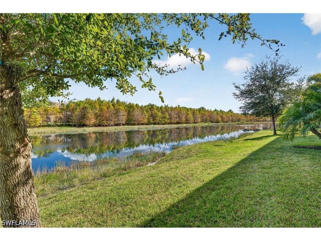 17361 Cherrywood Court #7801 Bonita Springs FL 34135 226021354 image31