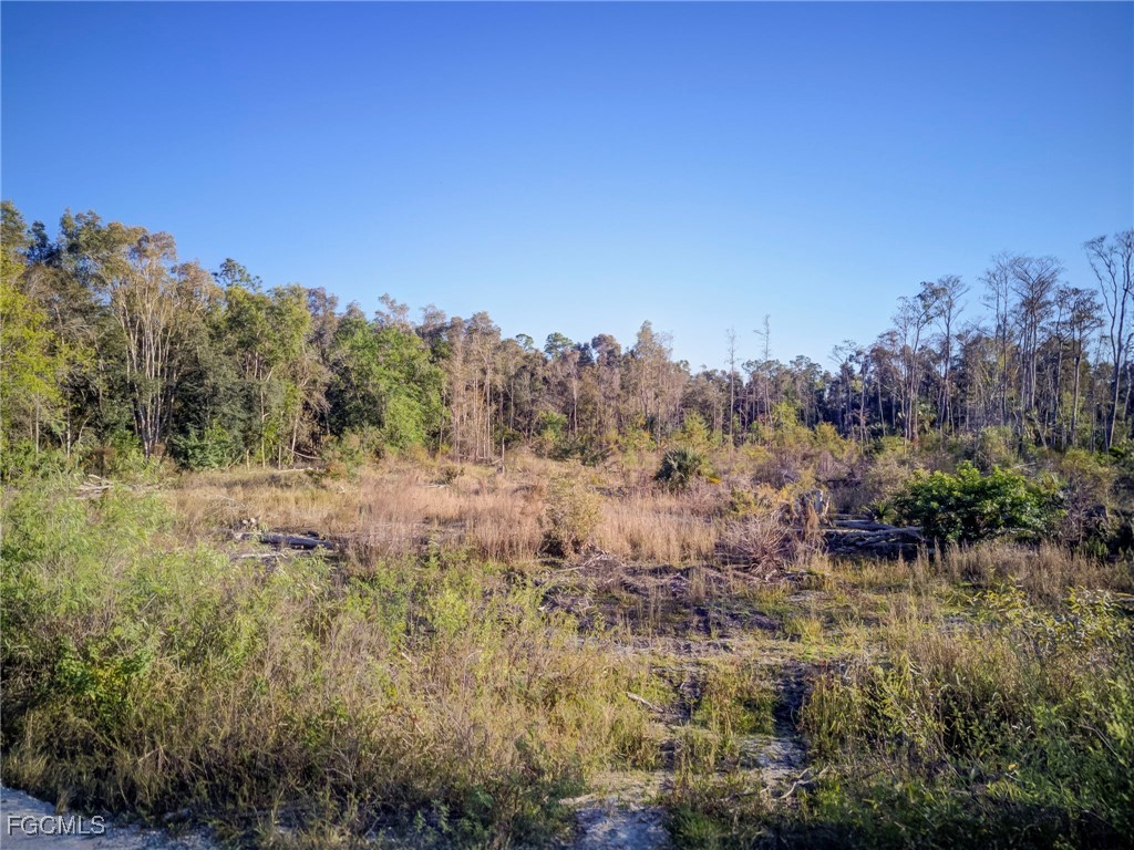17380 Richard Road Fort Myers FL 33913 2026005322 image5