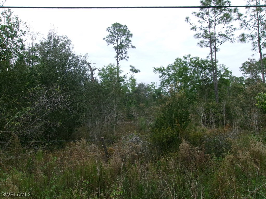 17380 Richard Road Fort Myers FL 33913 223094651 image1