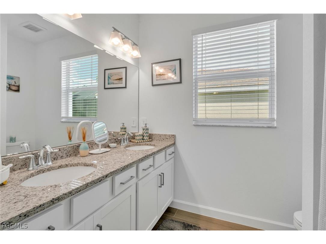 17388 Walnut Run Drive Alva FL 33920 2026009413 image12