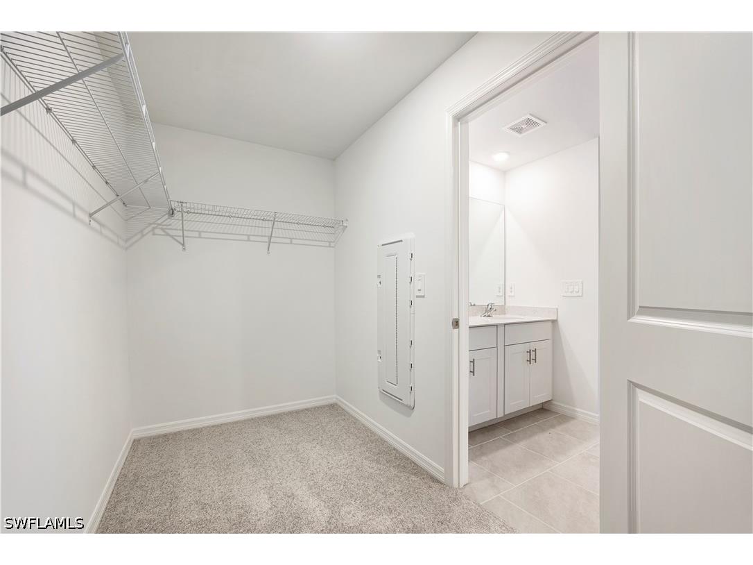 17392 Monte Isola Way Fort Myers FL 33917 226016103 image17