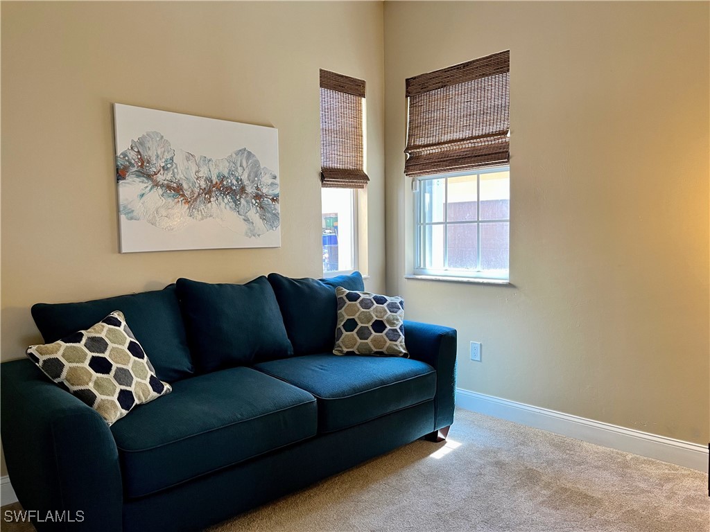 174 Shadroe Cove Circle #1001 Cape Coral FL 33991 225063521 image16