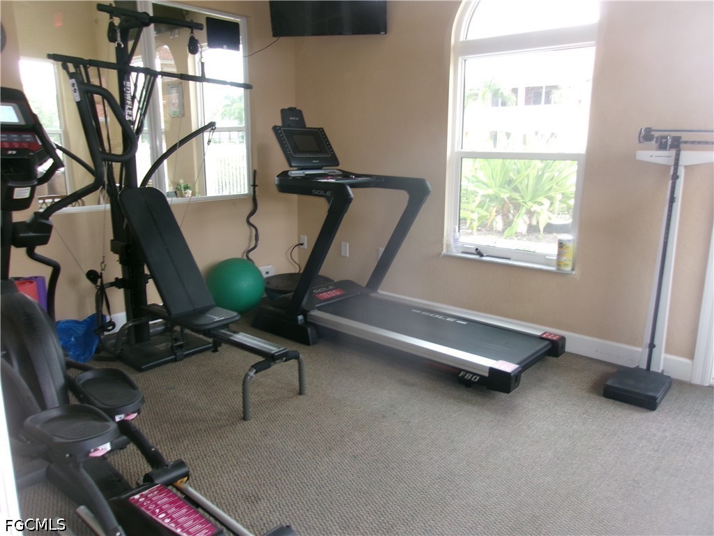 174 Shadroe Cove Circle #1002 Cape Coral FL 33991 225039135 image47