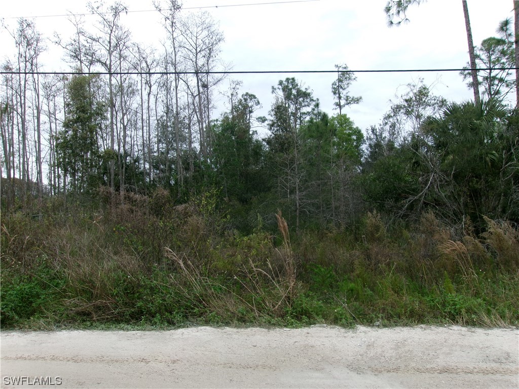 17440 Richard Road Fort Myers FL 33913 223094652 image1