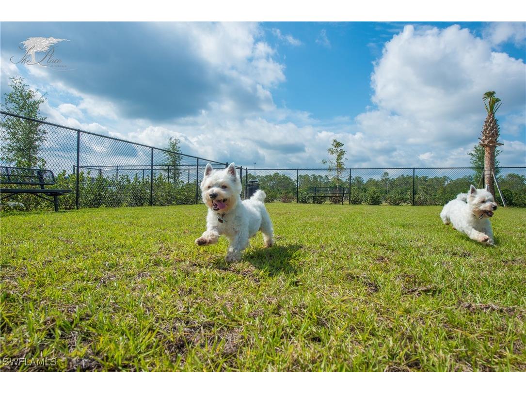 17462 Elkgrove Lane Estero FL 33928 225068731 image43