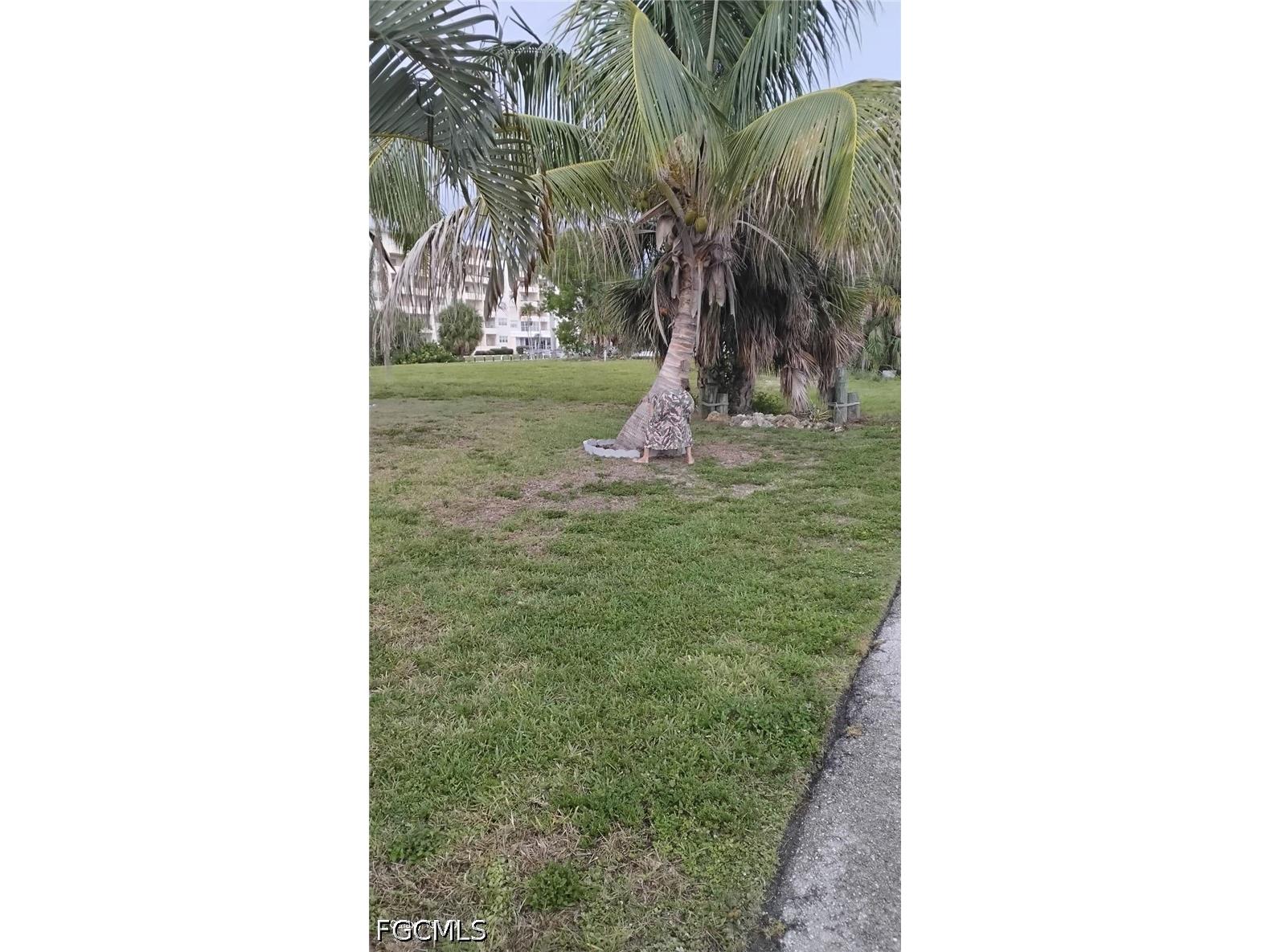 1749 Bikini Court Cape Coral FL 33904 2026029208 image38