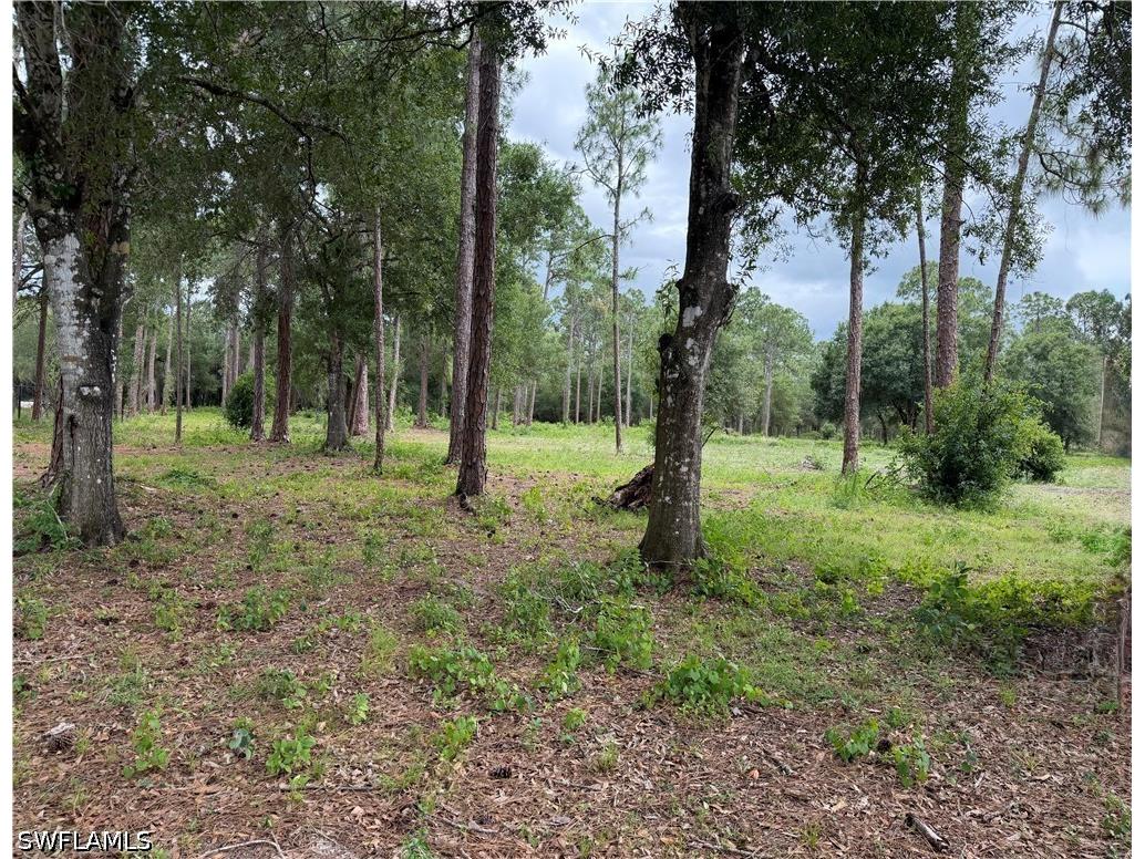 1750 Panama Avenue Clewiston FL 33440 226020127 image3