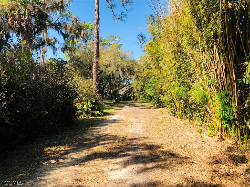 17500 Taylor Road Alva FL 33920 2026012656 image10