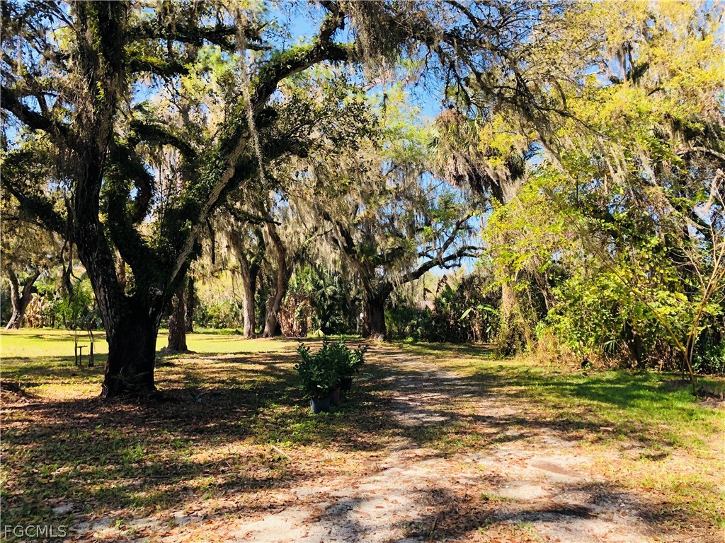 17500 Taylor Road Alva FL 33920 2026012656 image9