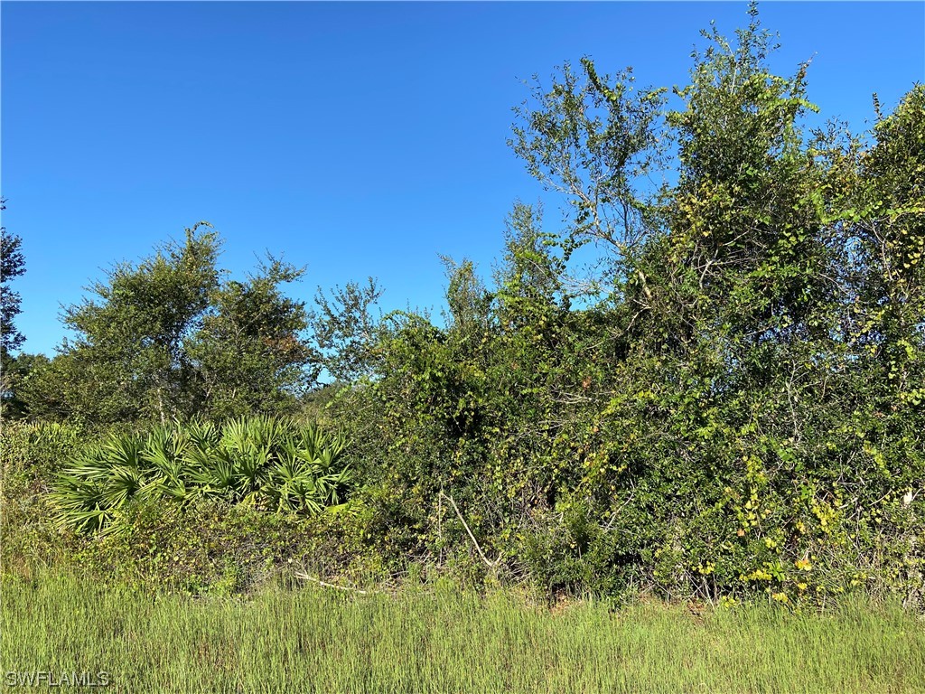 1753 Pine Avenue Lehigh Acres FL 33972 223073553 image1