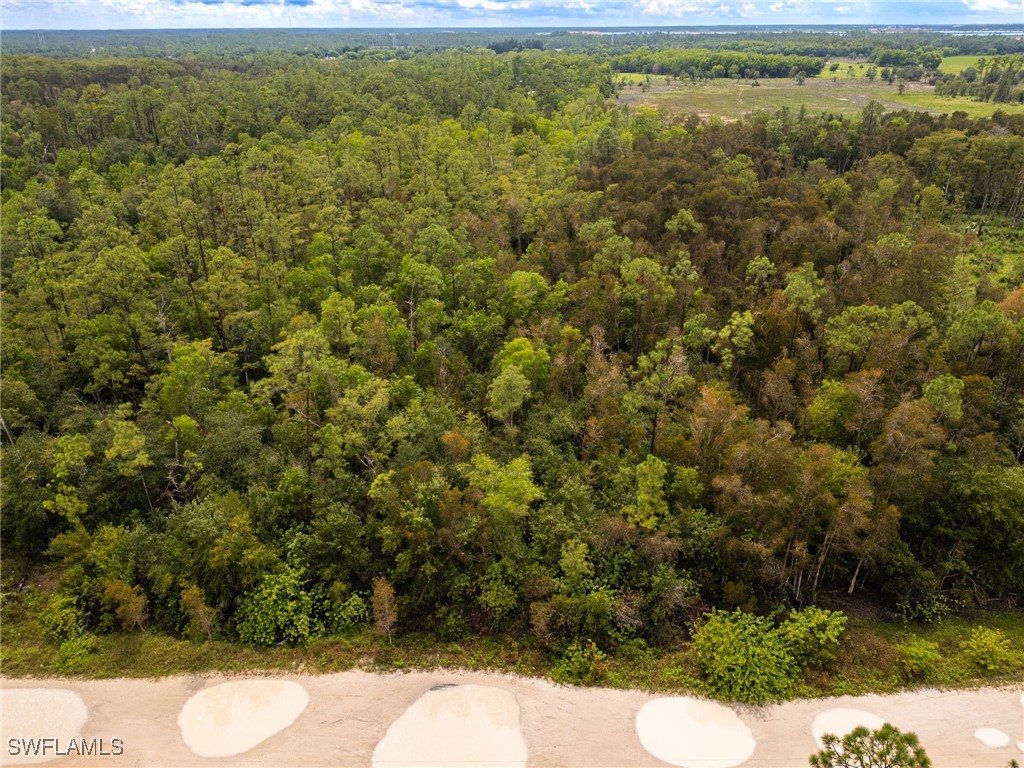 17560 Richard Road Fort Myers FL 33913 225070253 image15