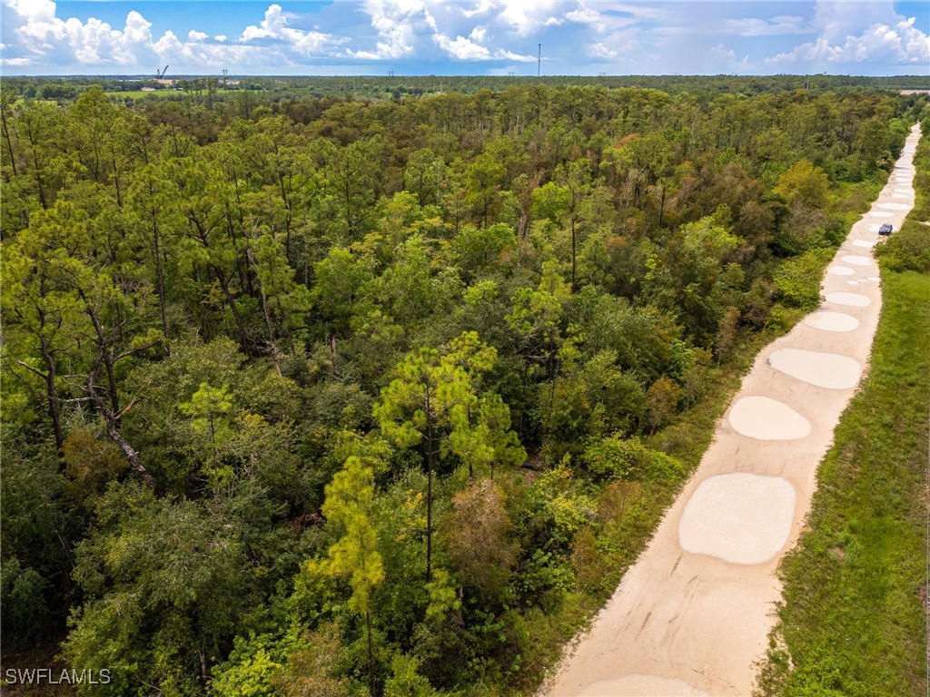 17560 Richard Road Fort Myers FL 33913 225070253 image5
