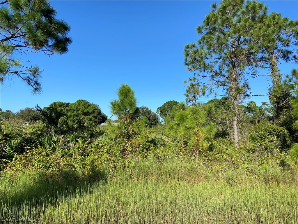 1757 Pine Avenue Lehigh Acres FL 33972 223073561 image1