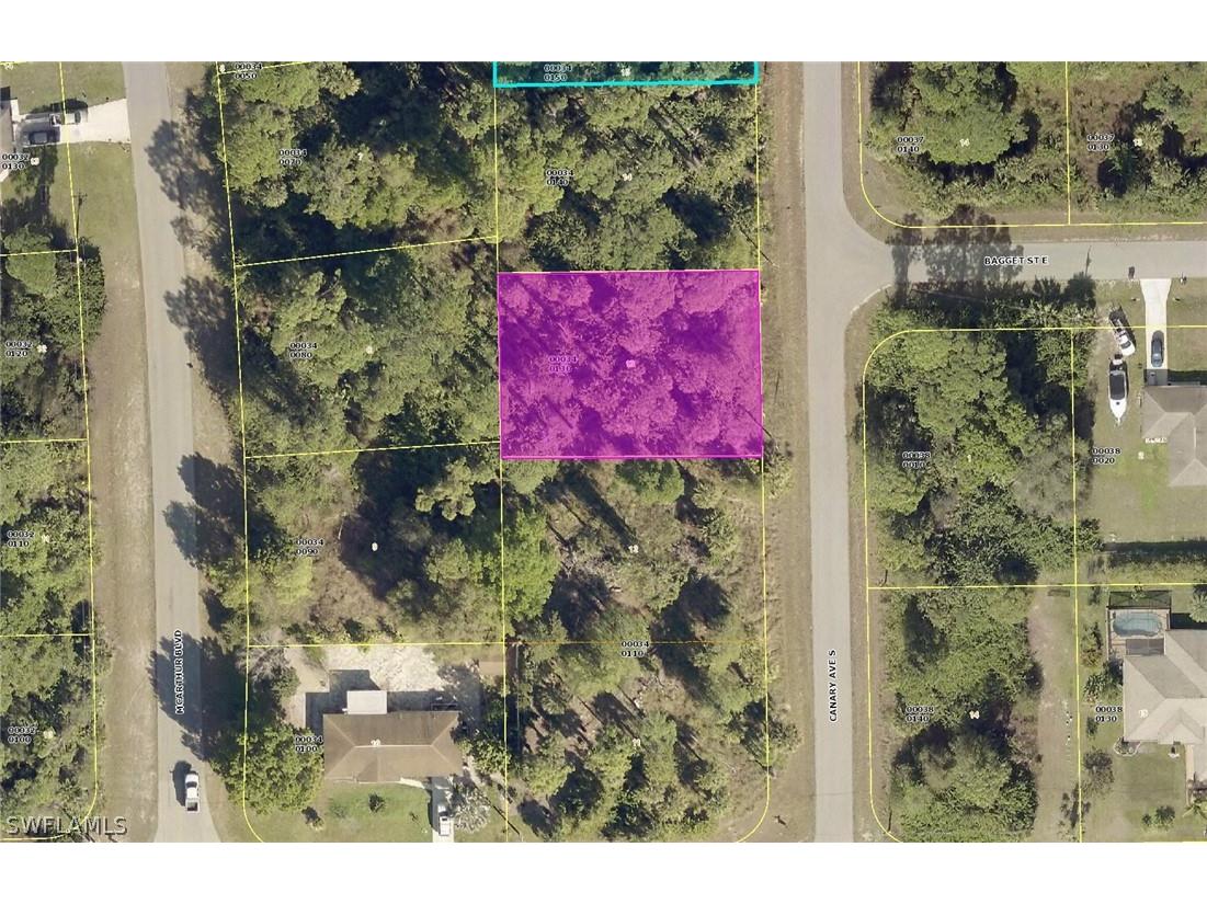 176 Canary Avenue S Lehigh Acres FL 33974 222046437 image1