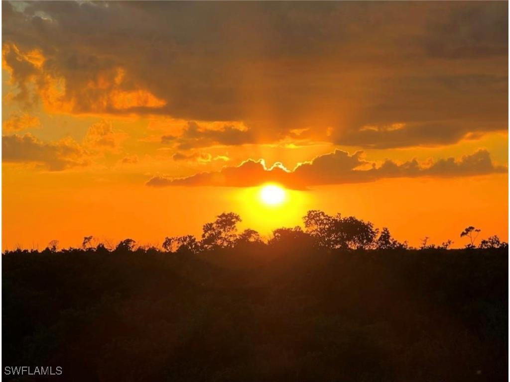 17611 Marco Island Lane Fort Myers FL 33908 225077302 image24