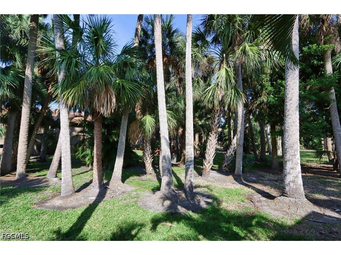 17623 Osprey Inlet Court Fort Myers FL 33908 2026019690 image26