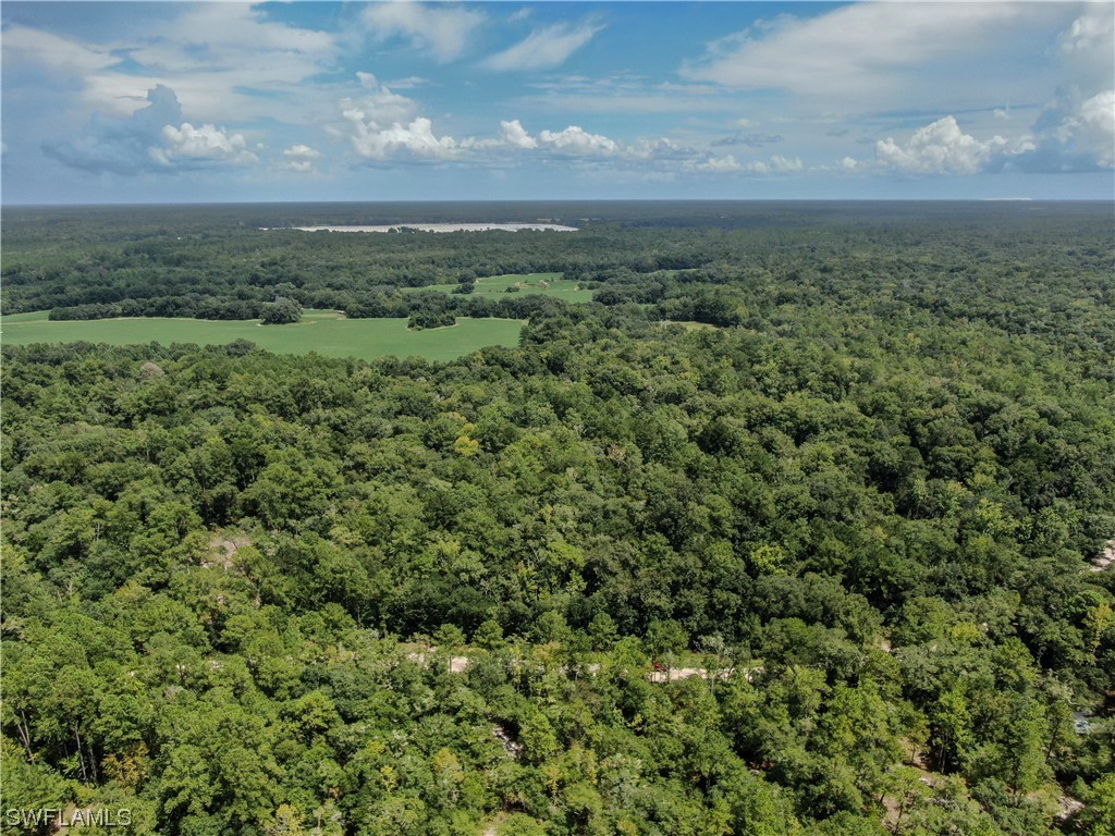 1770 NW 79th Drive Jasper FL 32052 223061303 image1