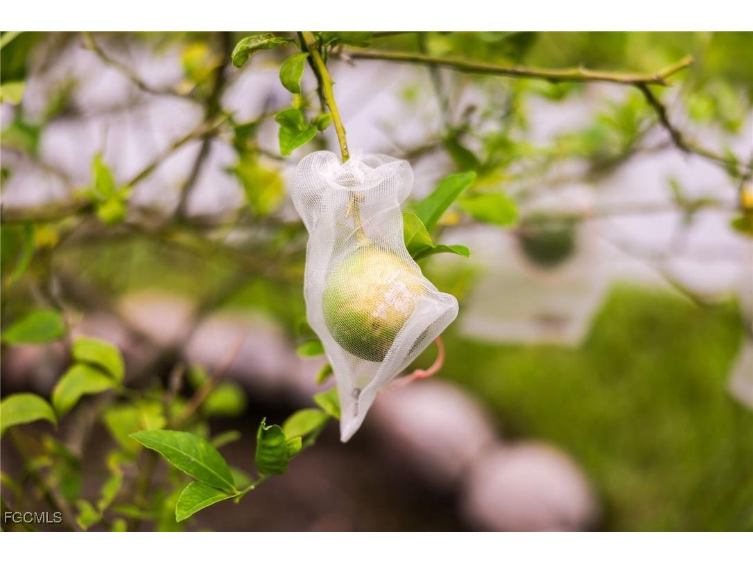 1771 Coral Way North Fort Myers FL 33917 2025007290 image44