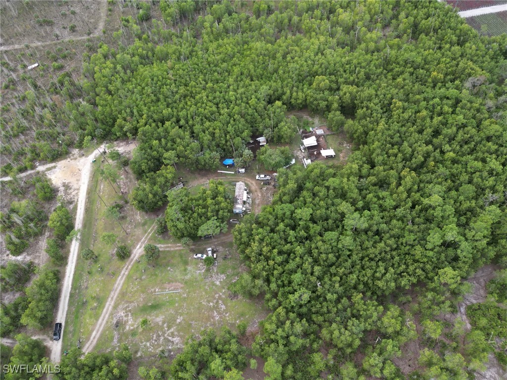 1775 Kearney Avenue Naples FL 34117 225067046 image13