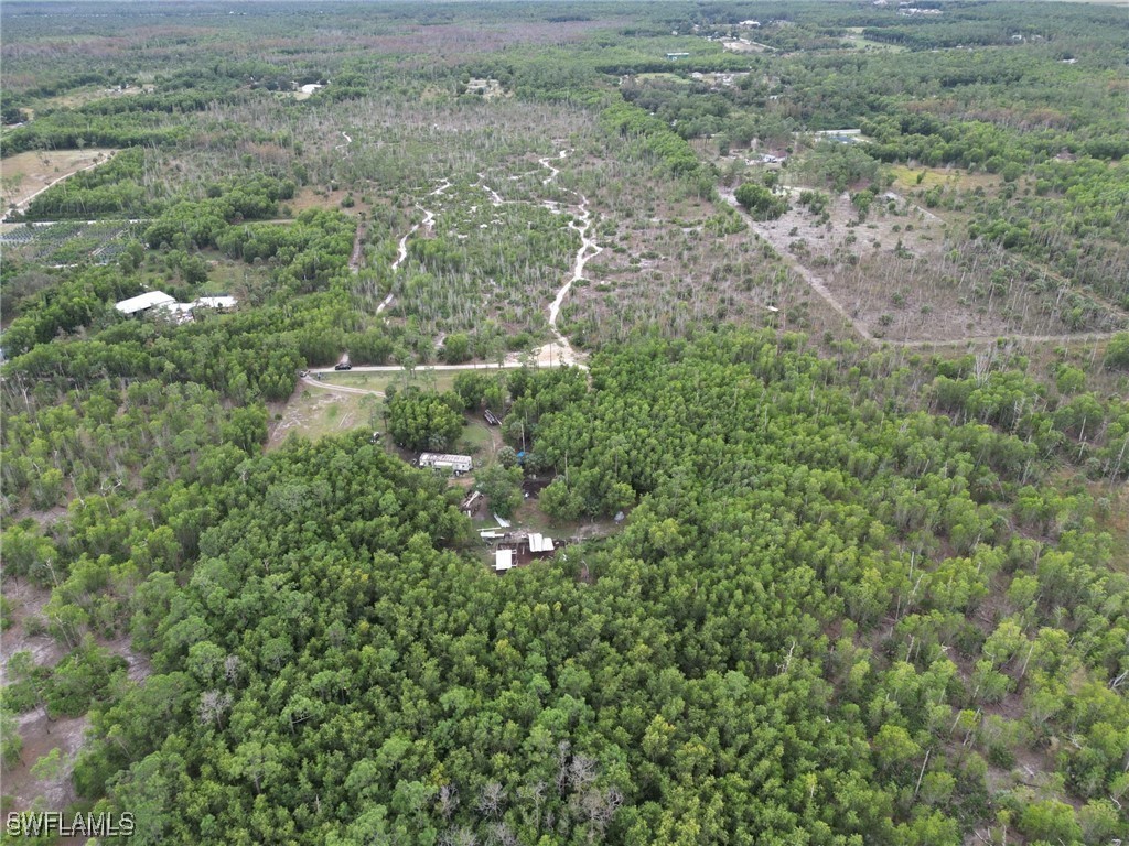 1775 Kearney Avenue Naples FL 34117 225067046 image14