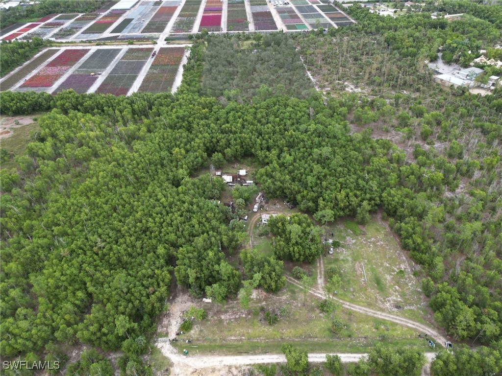 1775 Kearney Avenue Naples FL 34117 225067046 image4