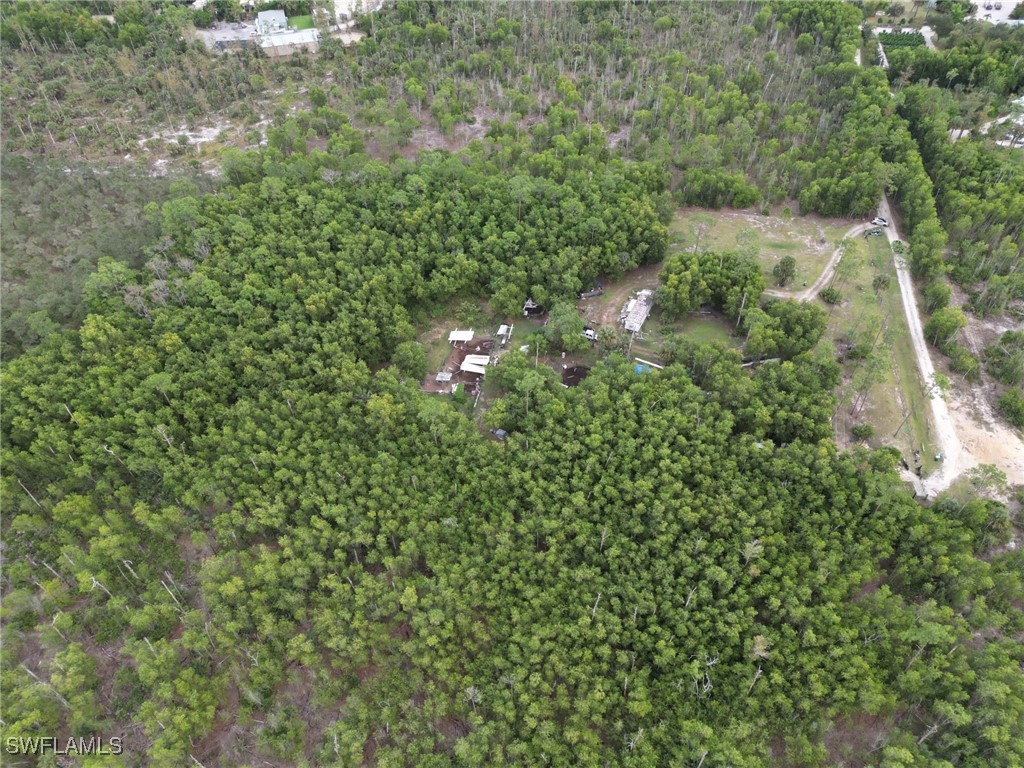 1775 Kearney Avenue Naples FL 34117 225067046 image6