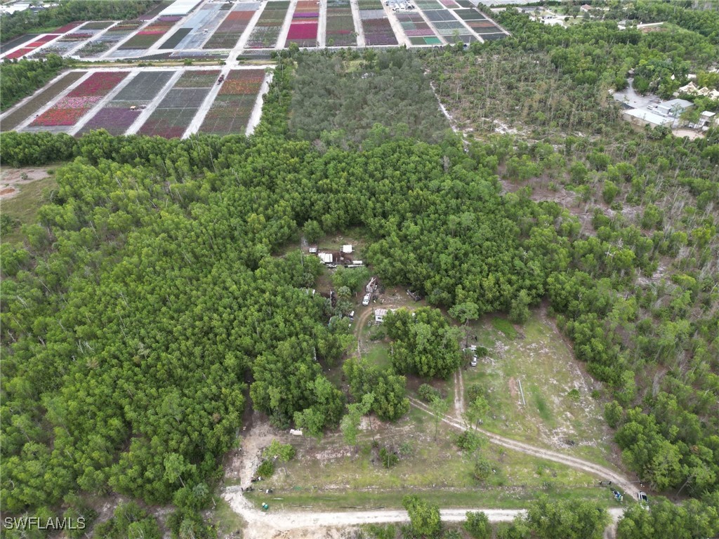 1775 Kearney Avenue Naples FL 34117 225067046 image7