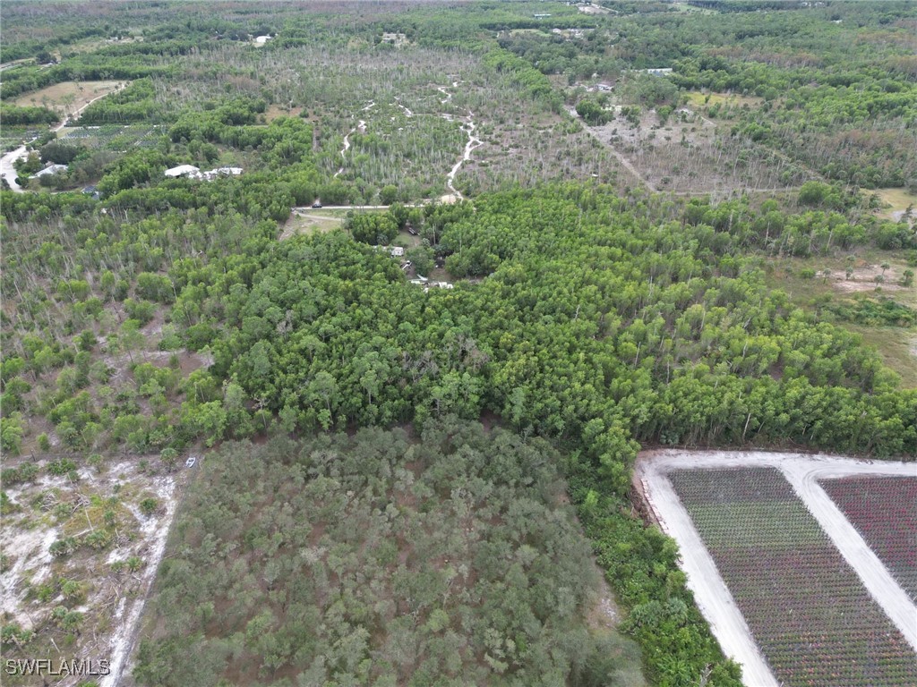 1775 Kearney Avenue Naples FL 34117 225067046 image8