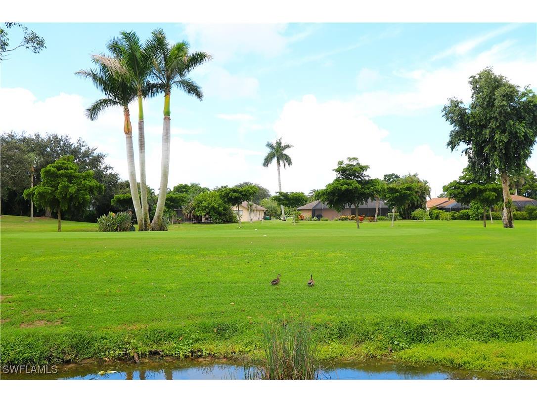 178 Torrey Pines Point Naples FL 34113 225069995 image3