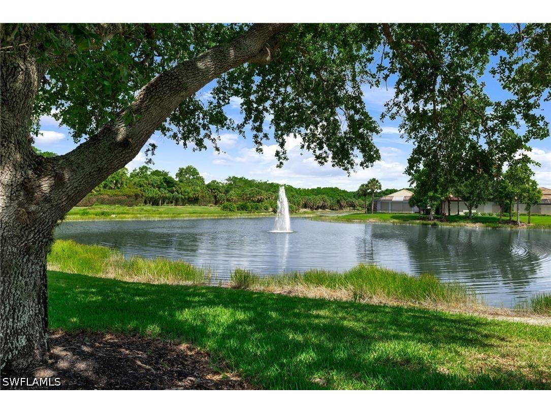 17819 Modena Road Miromar Lakes FL 33913 226024316 image34