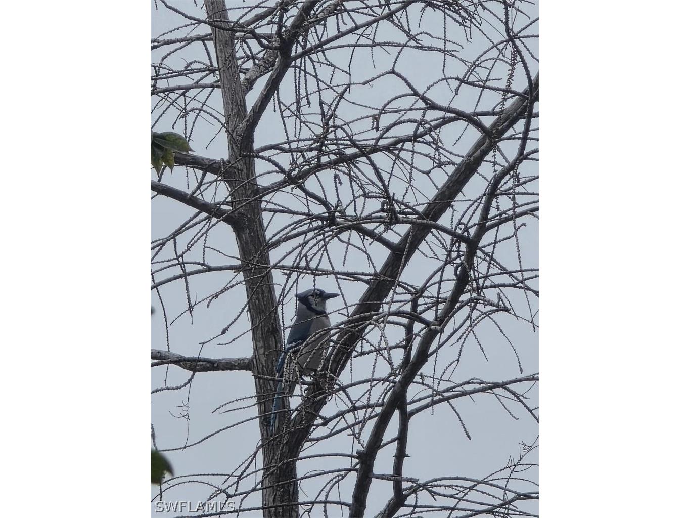 1784 Sanctuary Pointe Court Naples FL 34110 225066684 image25