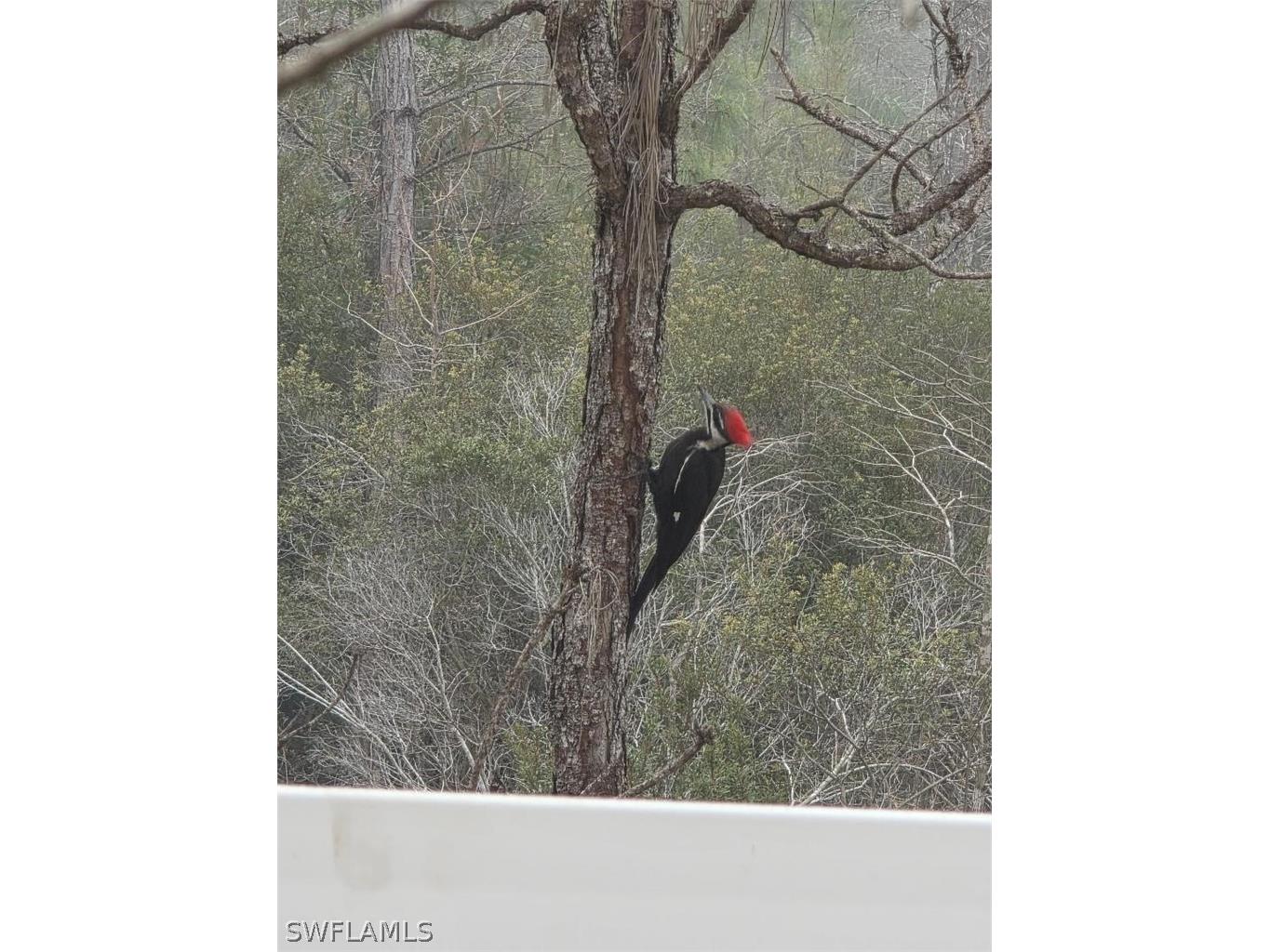 1784 Sanctuary Pointe Court Naples FL 34110 225066684 image26