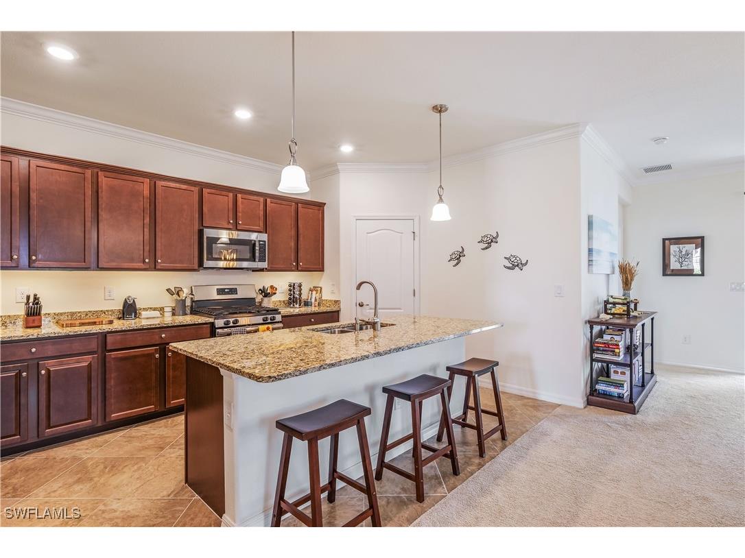 17845 Corkwood Bend Trail Babcock Ranch FL 33982 225076259 image8