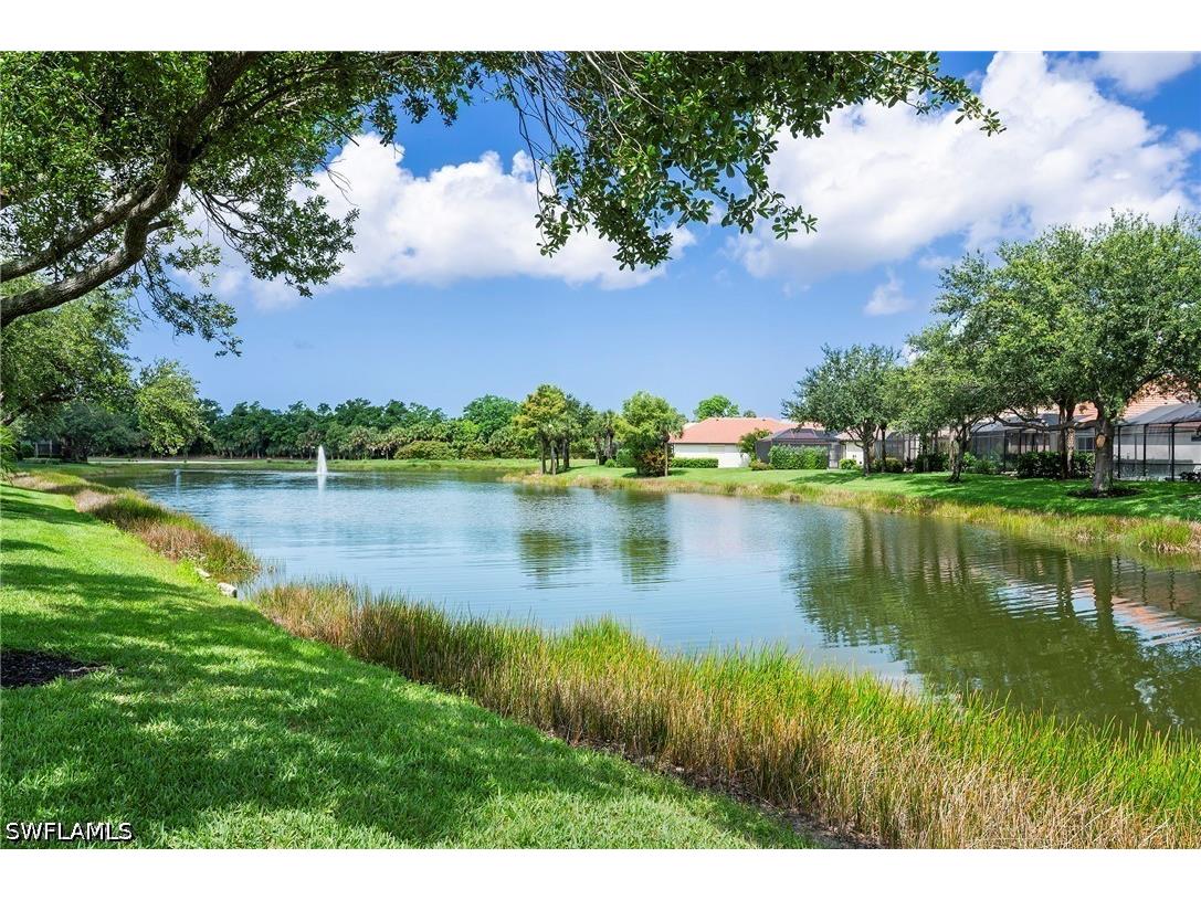 17887 Modena Road Miromar Lakes FL 33913 226012678 image22
