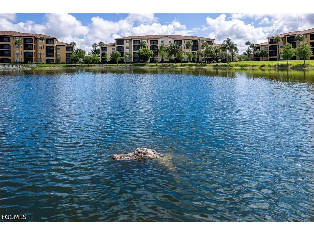 17921 Bonita National Boulevard #223 Bonita Springs FL 34135 2026020079 image28
