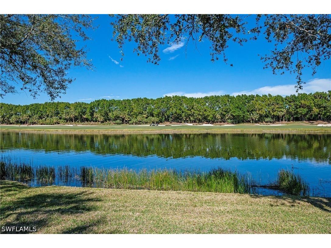 17929 Modena Road Miromar Lakes FL 33913 226017100 image31