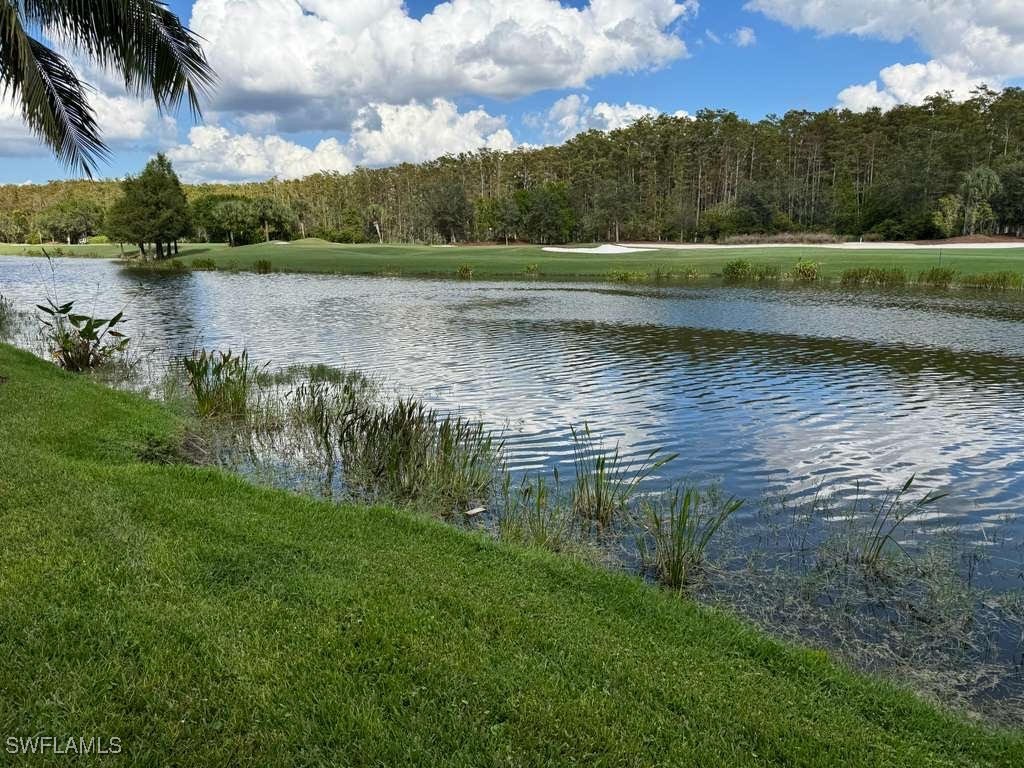 17970 Bonita National Boulevard #1816 Bonita Springs FL 34135 225077566 image31