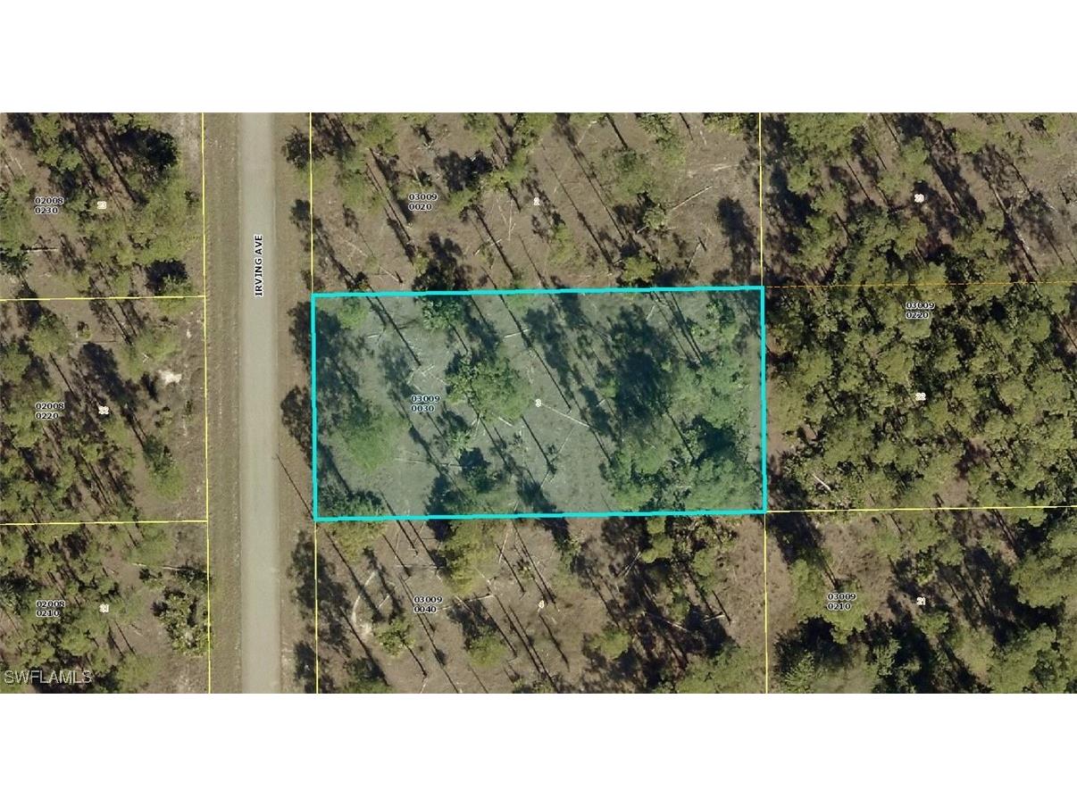 18 Irving Avenue Lehigh Acres FL 33936 225067304 image1