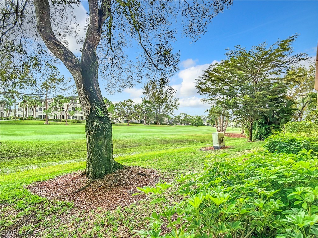180 Turtle Lake Court #103 Naples FL 34105 226011368 image37