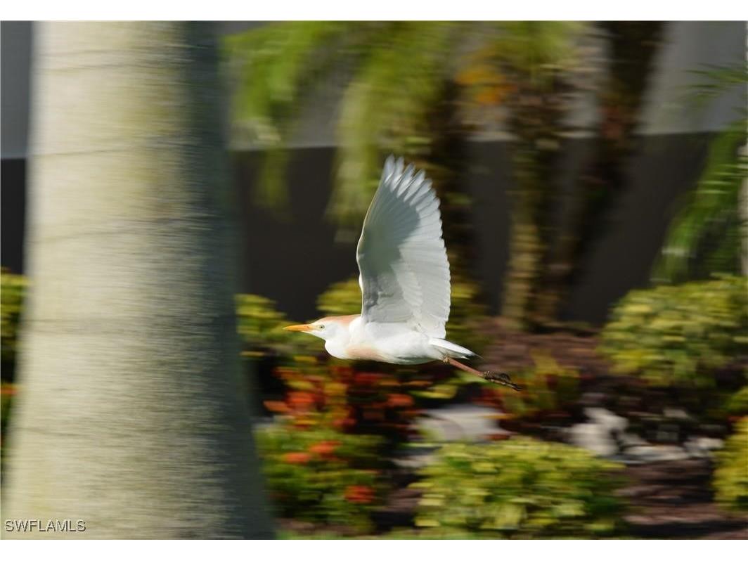 18001 Bluewater Drive Naples FL 34114 225082590 image18